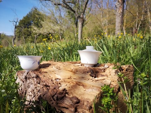 Deux nouveaux thés blancs