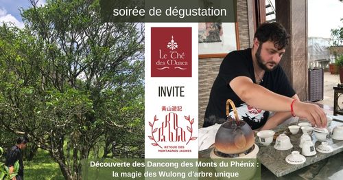 Soirée de dégustation - Découverte des Dancong du Mont Phénix - COMPLET