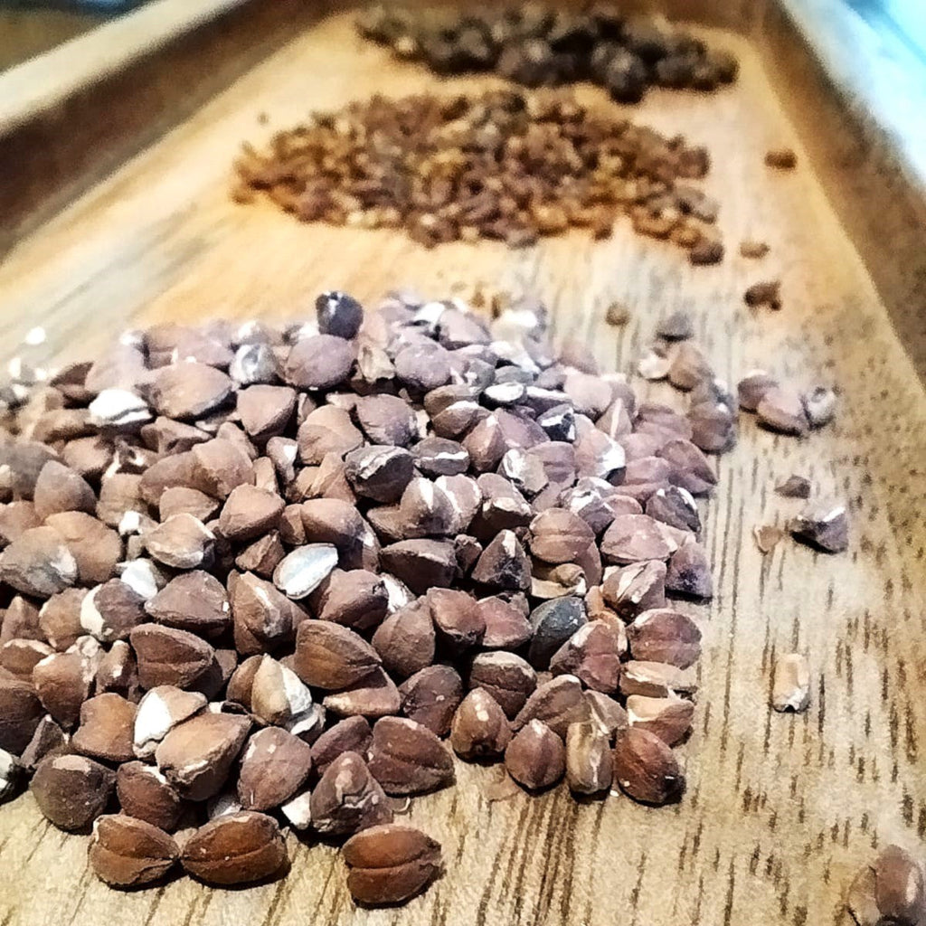 Découvrez les infusions de céréales