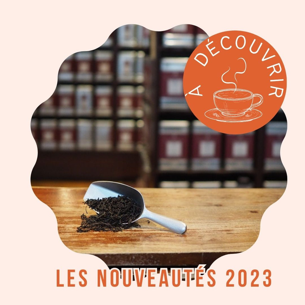 Les nouveaut(h)és 2023 - retrospective