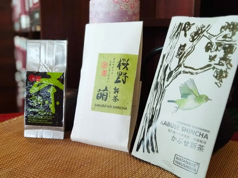 Les shincha du Japon