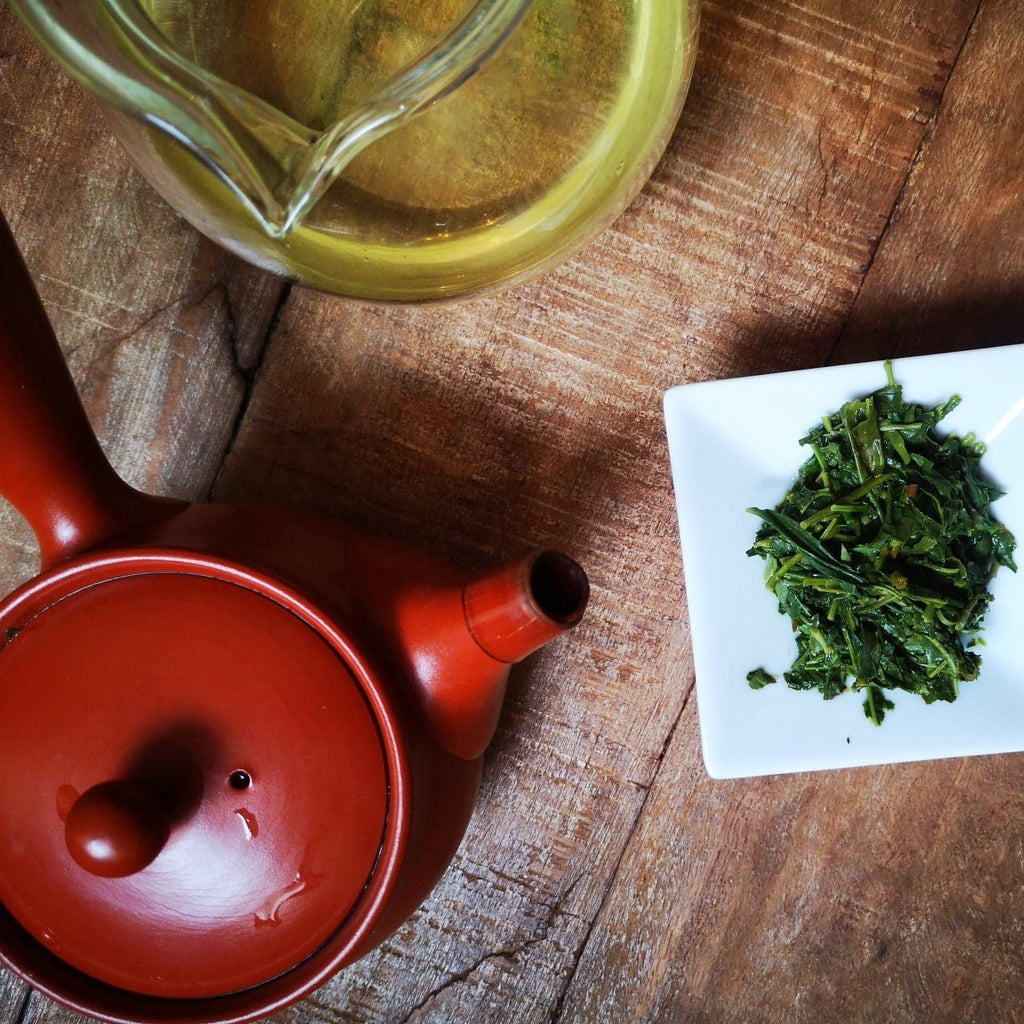 Le Gyokuro : la perle japonaise