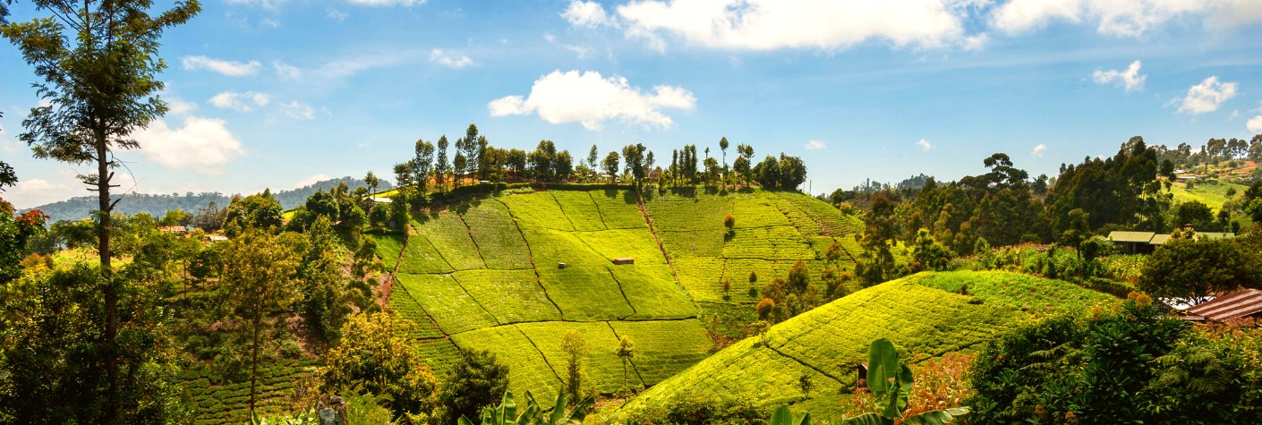 Afrique, Colombie, Turquie et Géorgie