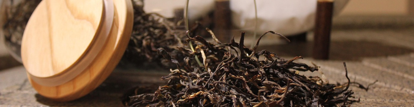 Les thés Pu'Erh du thé des Muses